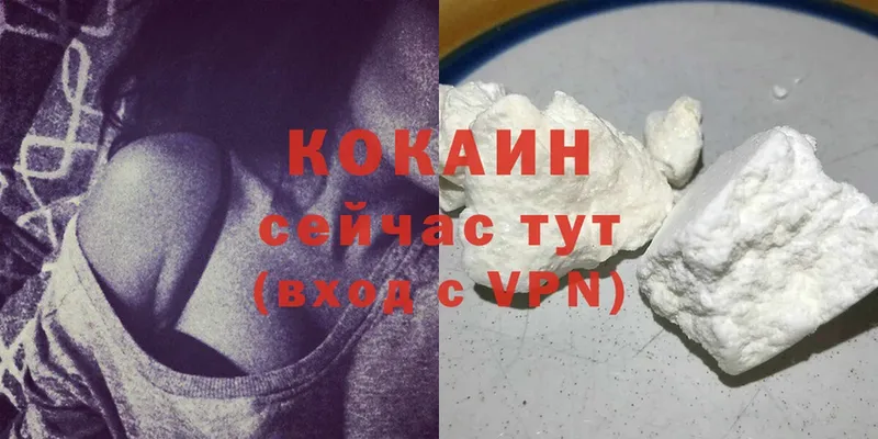 дарнет шоп  Барнаул  COCAIN VHQ 